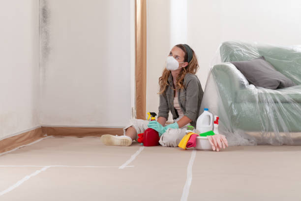 Reliable Mold Remediation contractor in Fremont, NC by WQB Mold Removal